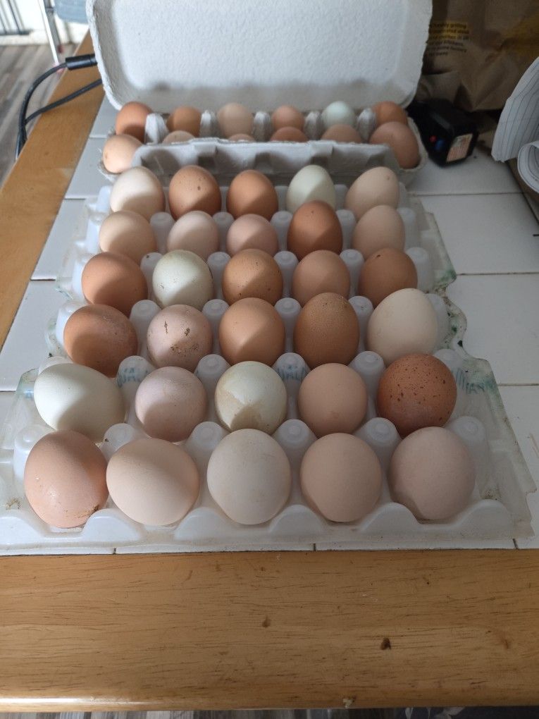 Out Of Flats At Moment! 4 Dozens Available 