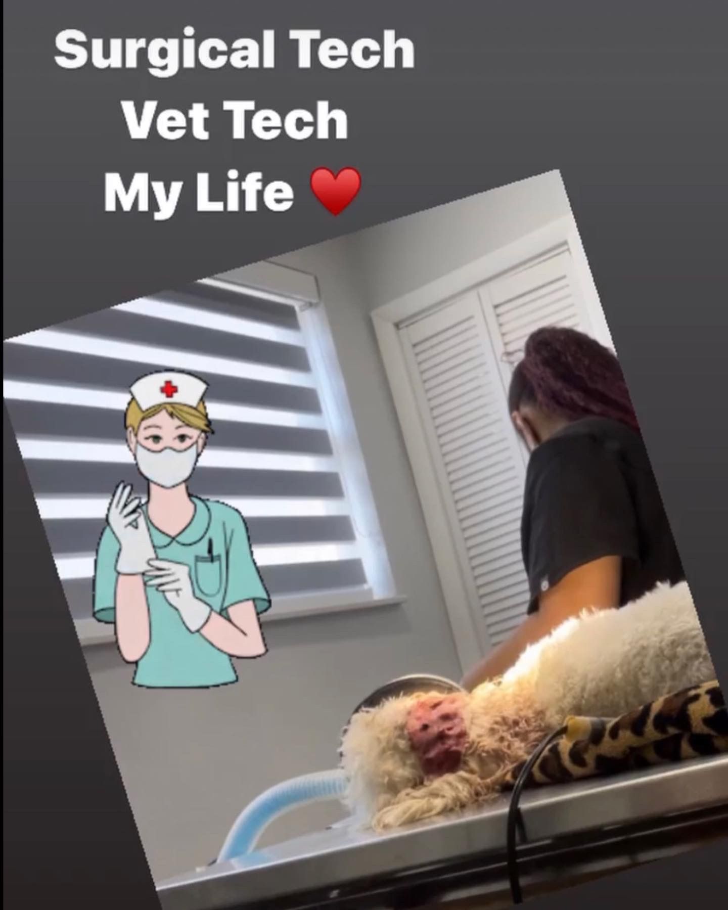 Progesterone Reverse Progesterone Pregnancy Confirmation