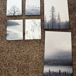 Canvas Art Picture