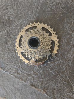 7 Speed Freewheel 