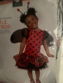 Infant lady bug costume
