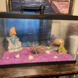10 Gallon Fish Tank, With Heater And Filter