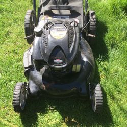 Briggs Mower