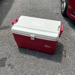 Igloo Cooler