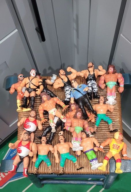 Vintage WWF Hasboro Figures(18)