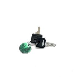 Painted Key Chain - Keys Not Included 