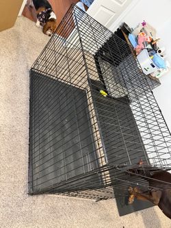Kennel
