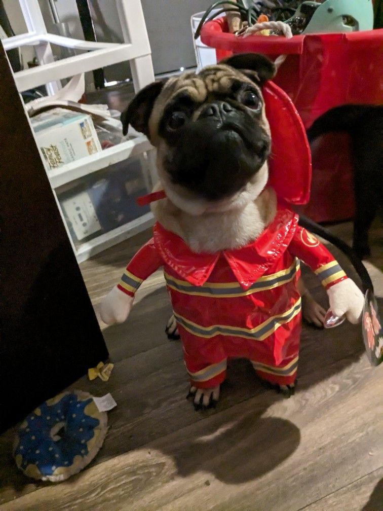 Pet Halloween Costume Medium Dog Cat Fireman New W/ Tags