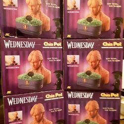 Chia Pet "Wednesday" from the Adams family 