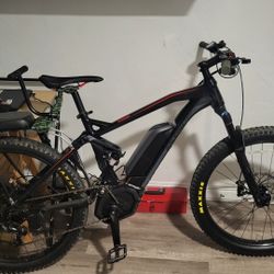 STOLEN BICYCLE 