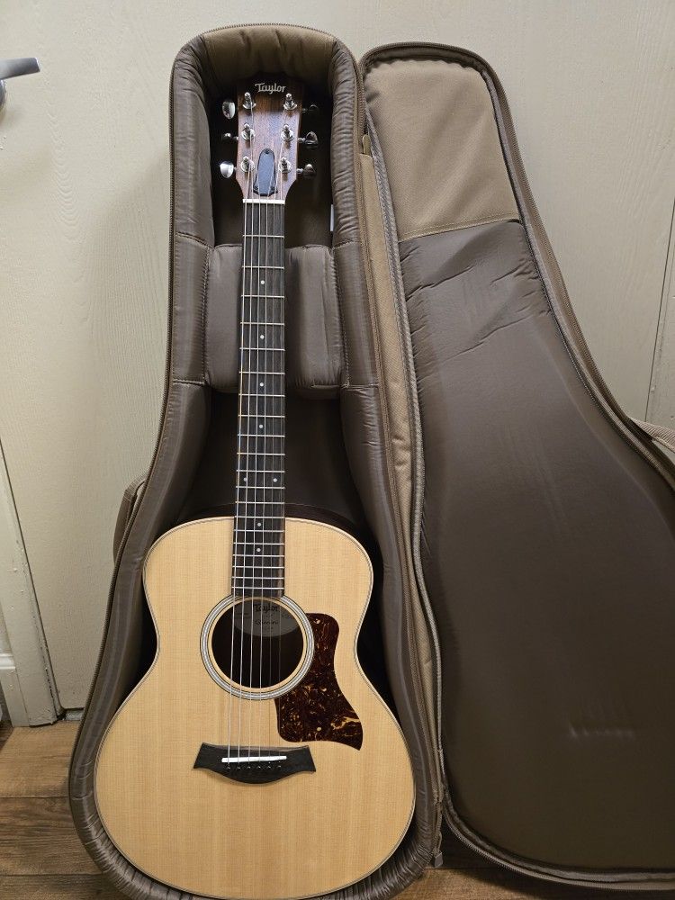 Taylor GS mini