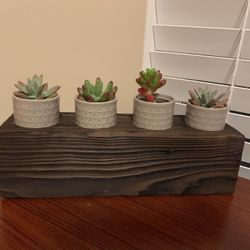 Succulent Planter