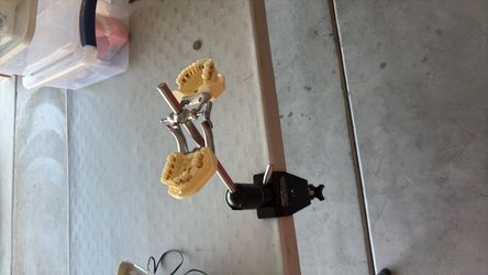 Dental  simulation training model
