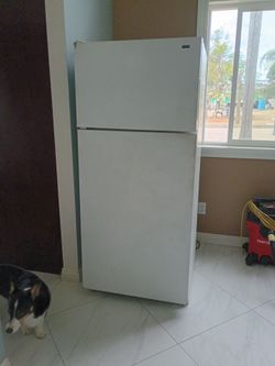 Refrigerator hotpoint