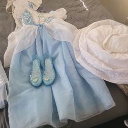 Halloween Cinderella Custome 
