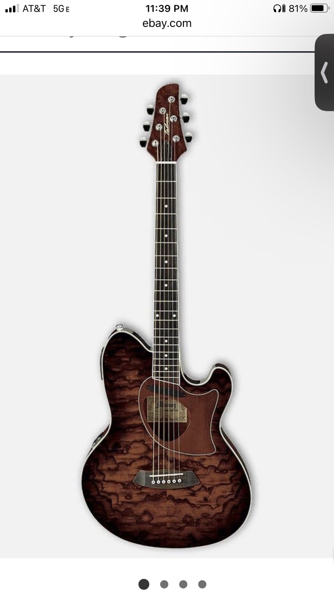 Ibanez Acoustic Electric