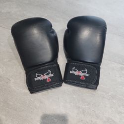 Boxing Gloves 