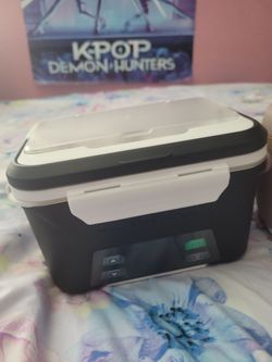 Two electric lunchboxes