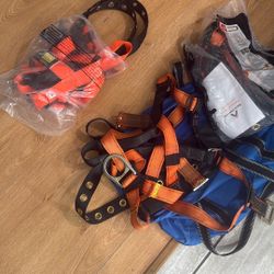 Fall Protection Harness