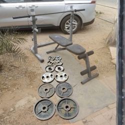 245lbs Olympic Weights Bench Squat Rack Barbell 