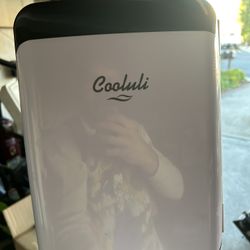 Mini Fridge 