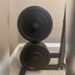 Rogue HG 2.0 Bumper Plates 260LB 2.0 Set - Like New