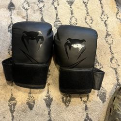 Venom 14oz Boxing Gloves, Everlast Flex cool wraps, and Everlast Evercool hitting mits 