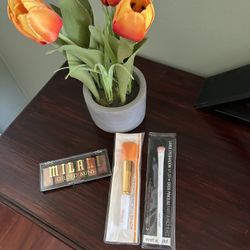 Eyeshadow/Makeup Brusches