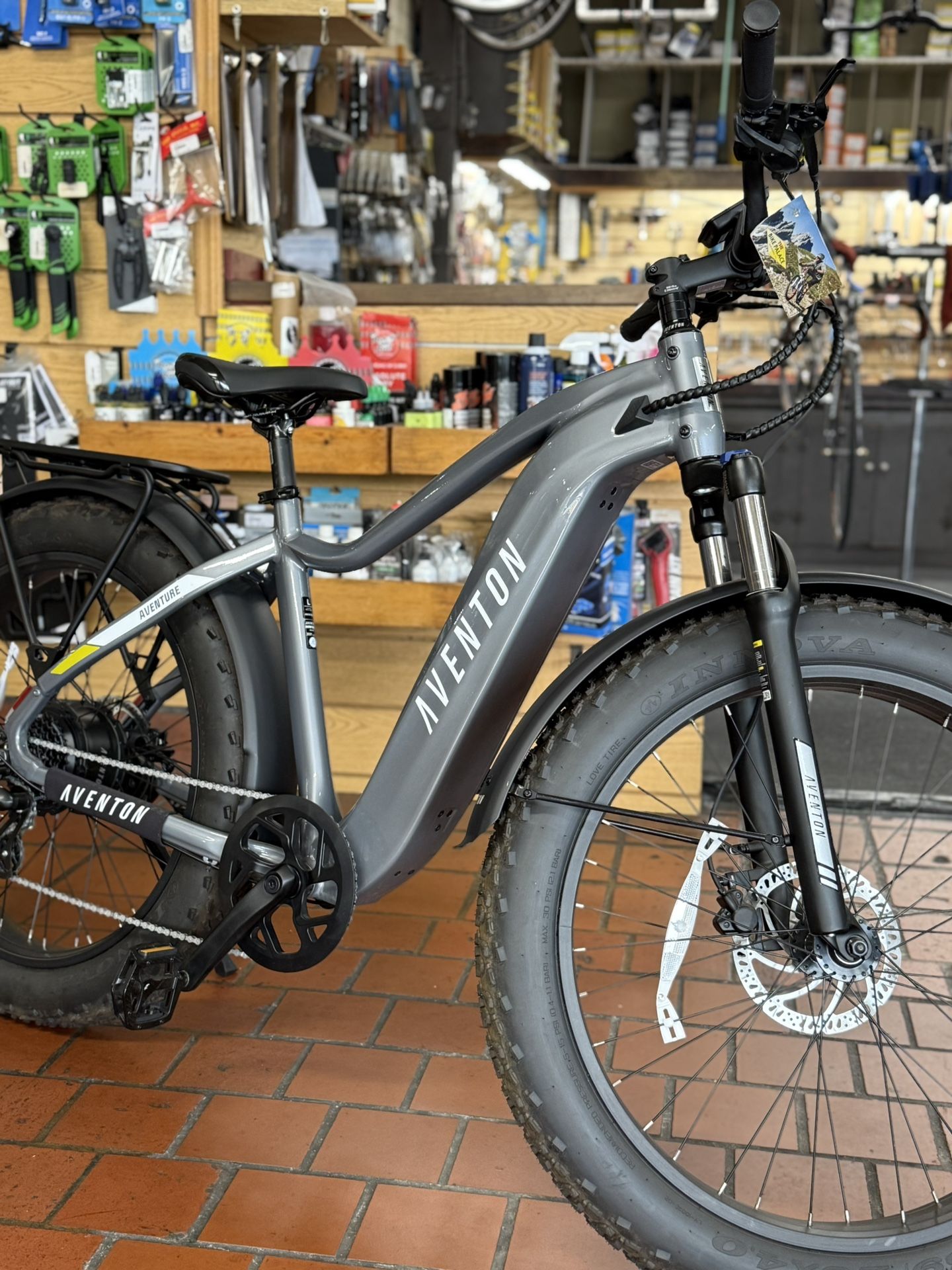 Electric Bike with Fat Tire Traction