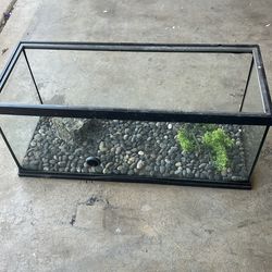 40 gallon fish tank