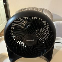 Fan