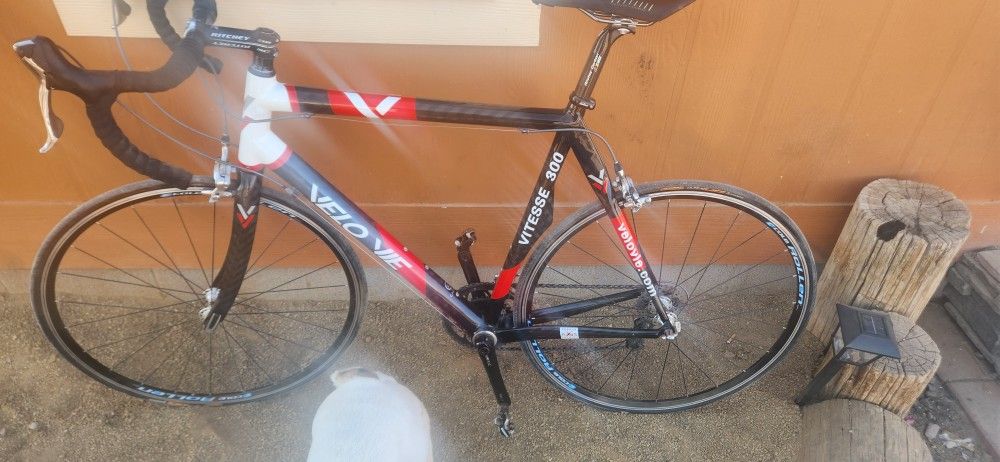 Vitesse 300 Bike