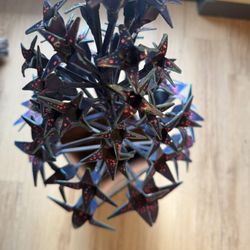 Handcrafted Welded Metal Flower-Pot Tree – 3ft Tall x 2ft Wide 