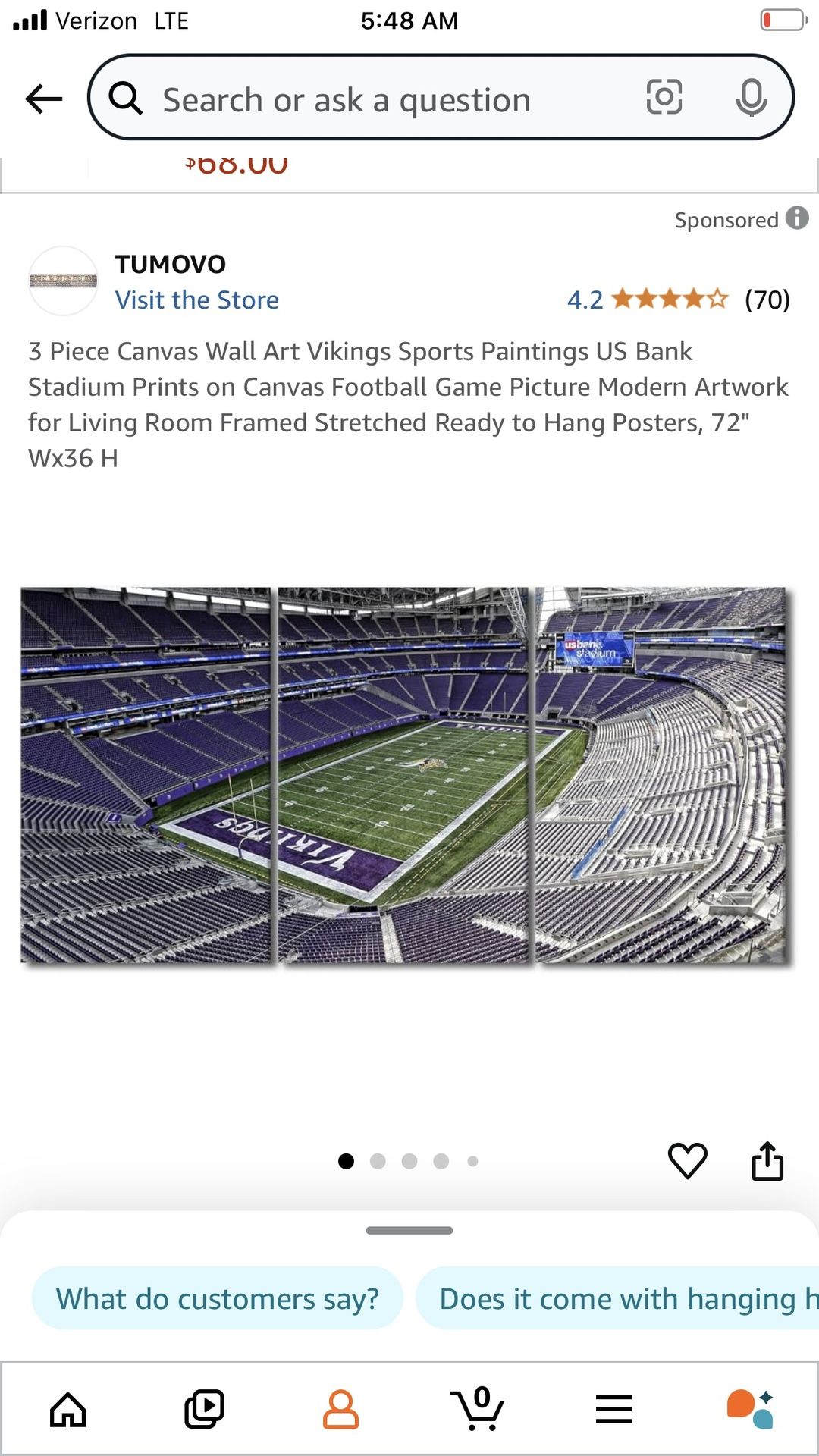 Vikings Stadium 3 Piece Canvas Art