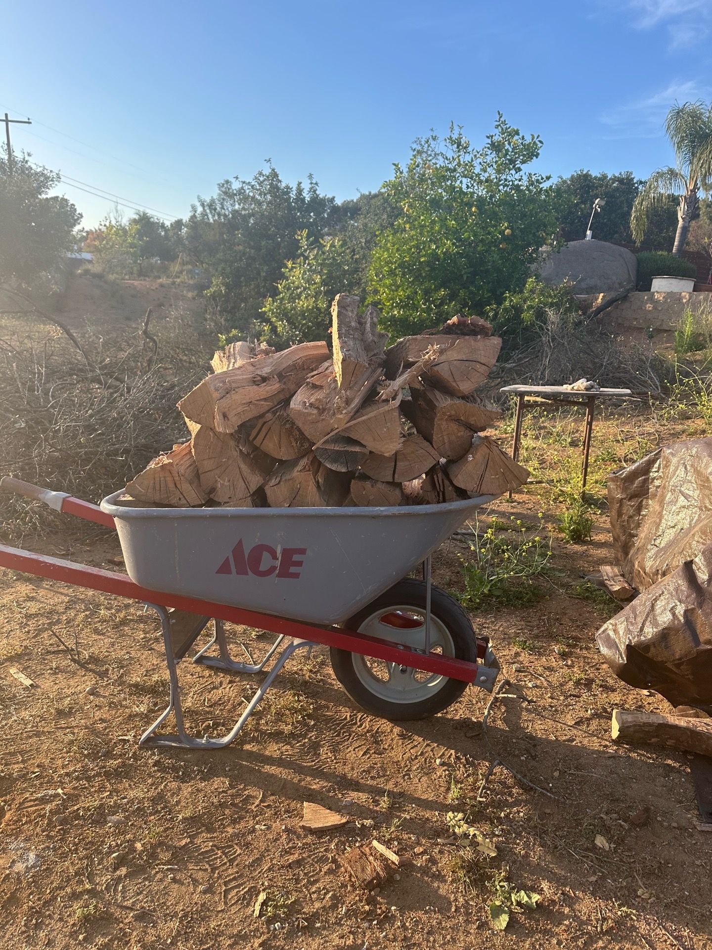 Cut oak firewood