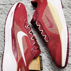 Size 11 Men's Nike Air Zoom Pegasus 41 Florida State University FZ5114-600.
