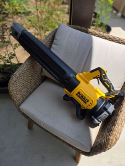 Dewalt Blower