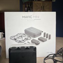 DJI Mavic Mini; The Everyday Flycam; Fly More Combo