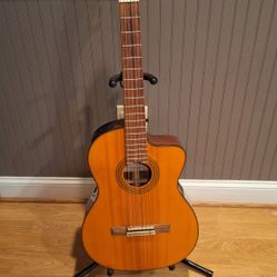 Takamine Electric Acustic 