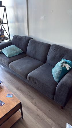 Couch ($50)