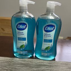 Dial Bodywash 