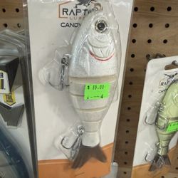 Raptor Swim Bait 7” Slow Sink