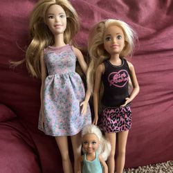 Barbies Sister Dolls