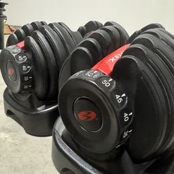 Bowflex Dumbells