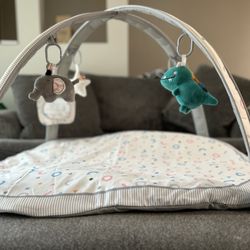 Baby Play Gym Mat