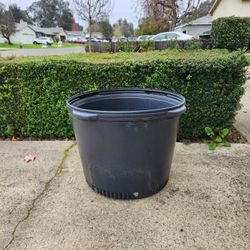 25 Gal Plastic Pot