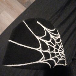 Spider Beanie 