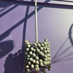 3 3/4 Cylinder Brush