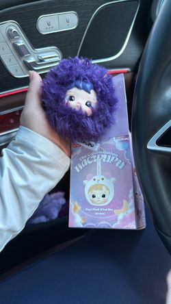 The Constellation Hacipupu