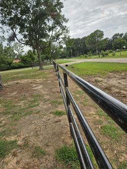 Fences